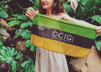 Akcja Flaga CCIG 2019